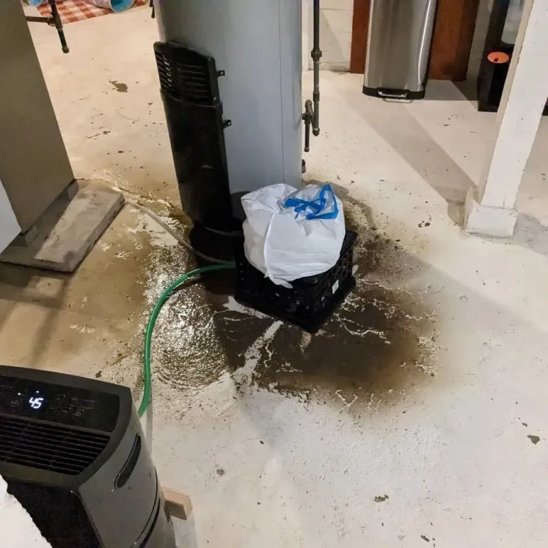 Sewage Backup Cleanup Service in Luverne, AL